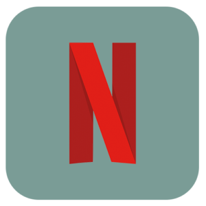 Netflix (Annual)